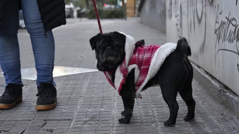 Se viene una seguidilla de días muy fríos.