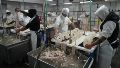 Los empleados buscan evitar el vaciamiento del frigorífico (Alan Monzón).