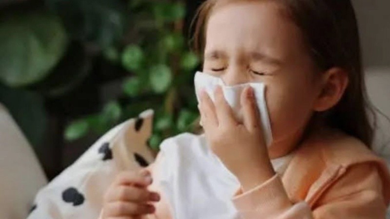 Para los pediatras, el mayor foco de contaminación continúa siendo el virus sincicial respitatorio.