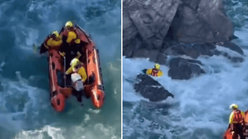 Aislada entre rocas y con el oleaje golpeando fuerte, Bailey esperó inmóvil hasta que un rescatista la salvó.
