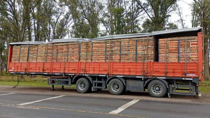 La carga de naranjas se encontraba intacta.