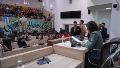 La sesión convocada para el jueves no tuvo quórum para tratar los proyectos contra el parque acuático.