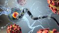 La esclerosis múltiple es una enfermedad neurodegenerativa, autoinmune y crónica que impacta especialmente en adultos jóvenes.