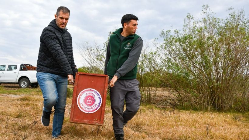 Liberaron ejemplares emblemáticos de la fauna santafesina que fueron rehabilitados en La Esmeralda.