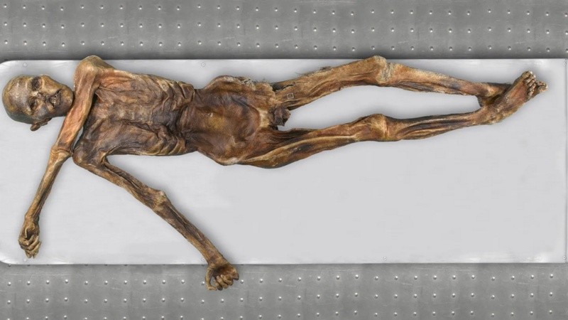 Ötzi, el Hombre de Hielo. Crédito: Museo de Arqueología del Tirol del Sur/Eurac/Marco Samadelli-Gregor Staschitz.