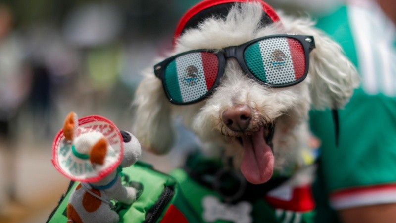 Una breve y colorida ceremonia se llevó a cabo en México (EFE).