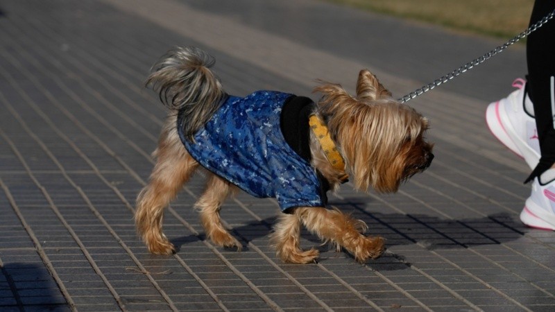 El domingo comenzó frío pero finalmente soleado.