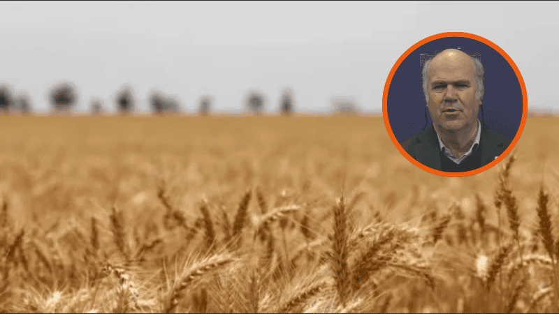 El secretario de Agricultura aseguró que el agro atraviesa una campaña 