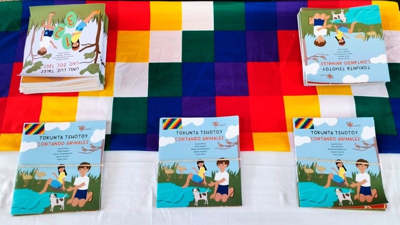 &nbsp;Los libros elaborados por los integrantes del proyecto.