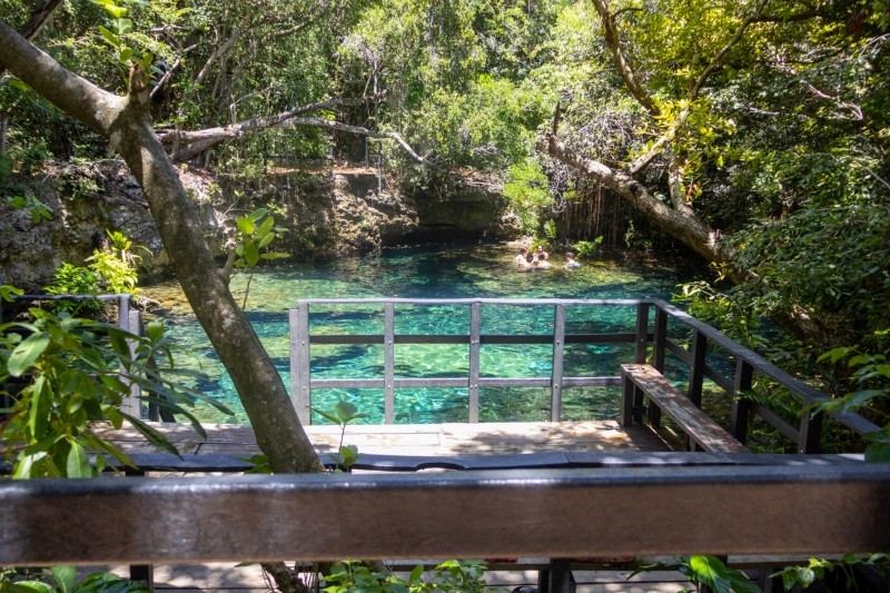 Cuatro de los cenotes están habilitados para que los visitantes de la reserva puedan bañarse. (Rosario3)