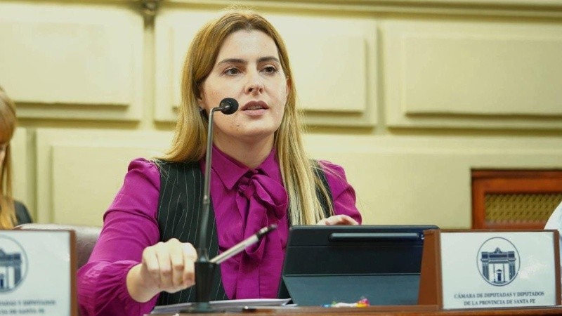 El proyecto fue elaborado por la diputada socialista Lionella Cattalini.