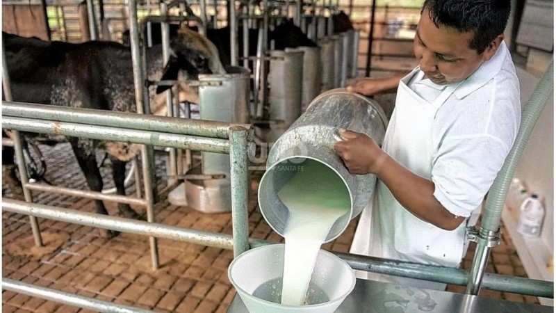 Santa Fe se consolida como la principal provincia exportadora del país, concentrando casi el 50% de las exportaciones lácteas argentinas.