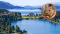 Detectaron un nuevo contagio de hantavirus en Bariloche y activaron los protocolos sanitarios.