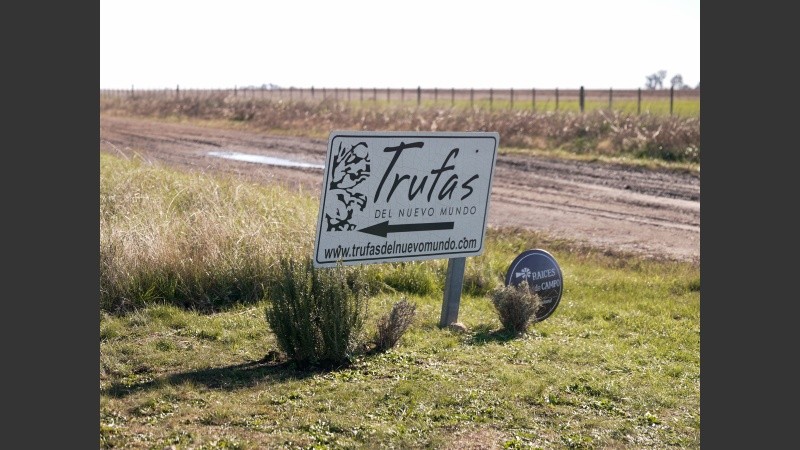 Como embajador de Trufas del Nuevo Mundo, Carlos Avalle trabaja desde hace años difundiendo las posibilidades gastronómicas de este producto excepcional.