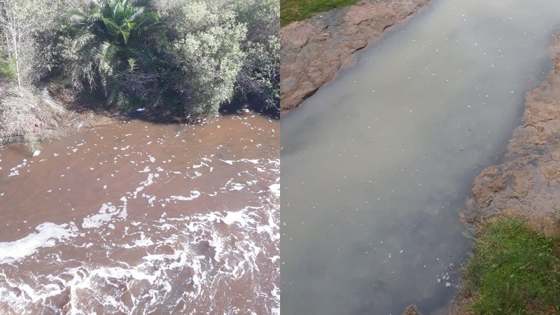 Además de análisis técnicos del agua, la denuncia adjunta fotos y videos que documenta la degradación del arroyo.