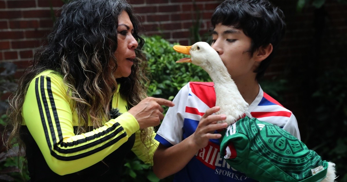 El pato mariachi, remos virales y mucho rosa: las mejores anécdotas y curiosidades que dejó la fase de grupos del Mundial
