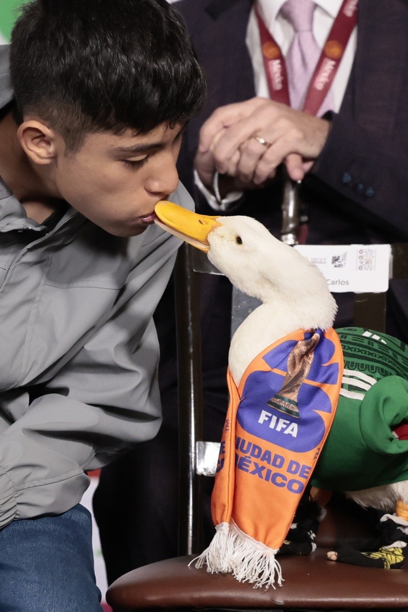 Merlín, el pato más viral del Mundial (EFE)&nbsp;