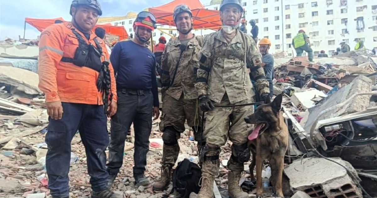Bart, the Argentine dog who rescued two children trapped in Venezuela