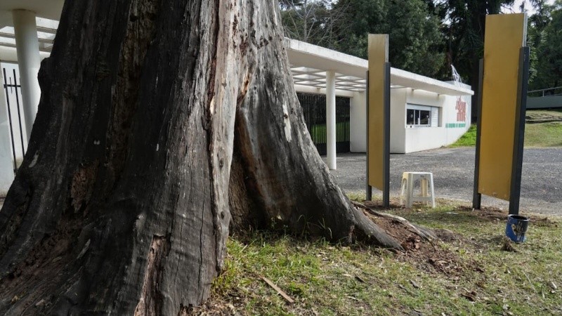 El lugar donde se encontraron prendas de Micaela. (Foto: Alan Monzón/Rosario)