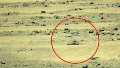 Pese al entusiasmo de los investigadores de ovnis, la explicación más aceptada es la pareidolia.
