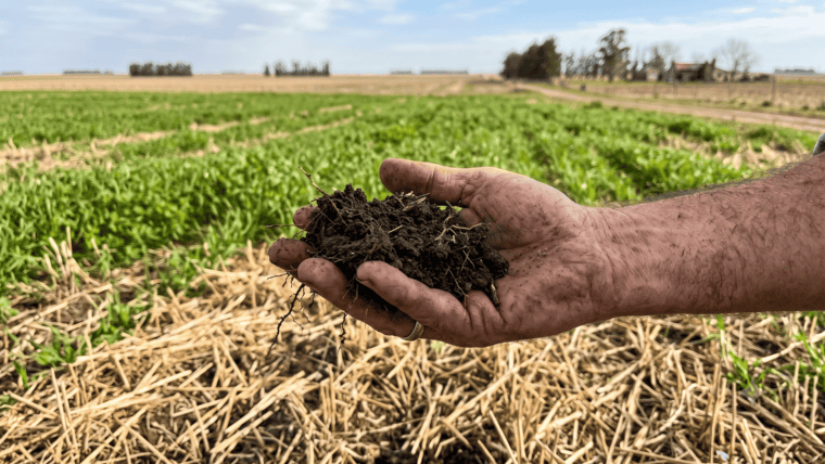 Efeméride Agro: Día de la Conservación del Suelo