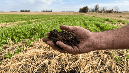Efeméride Agro: Día de la Conservación del Suelo