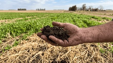 Efeméride Agro: Día de la Conservación del Suelo