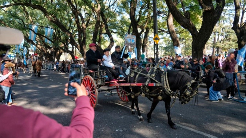 Postales del desfile patrio. (Alan Monzón/Rosario3)