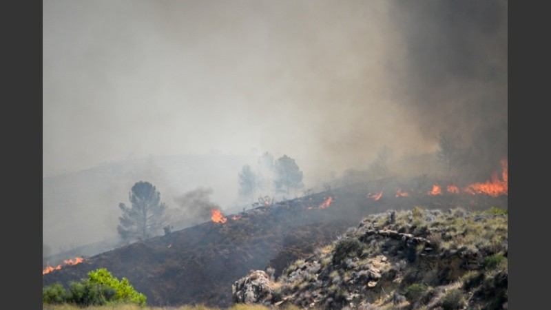 El fuego avanzó rápidamente y dejó gente atrapada.