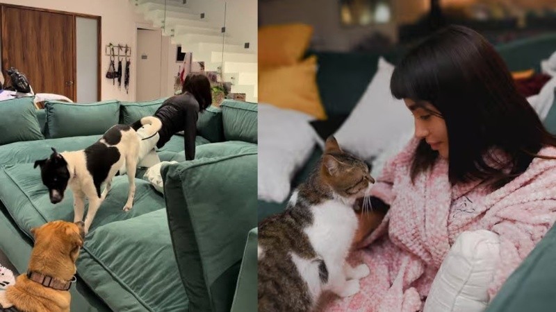 La cantante tiene trece animales bajo su cuidado.
