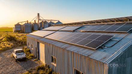 Energías renovables - Día Mundial de la Independencia Energética
