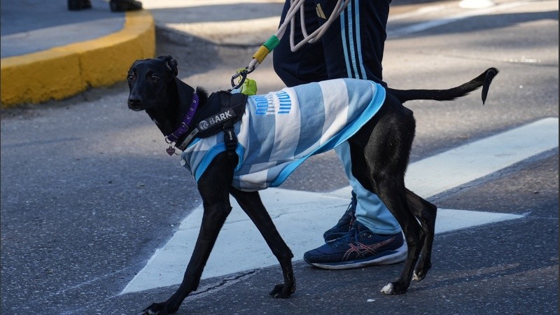 Entrando en calor.