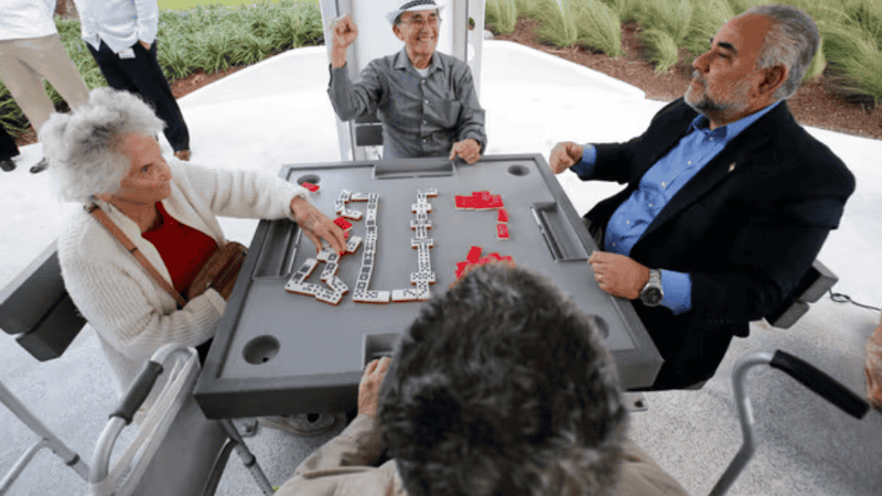 Entrenamiento cognitivo y socialización, dos cuestiones clave según el estudio.