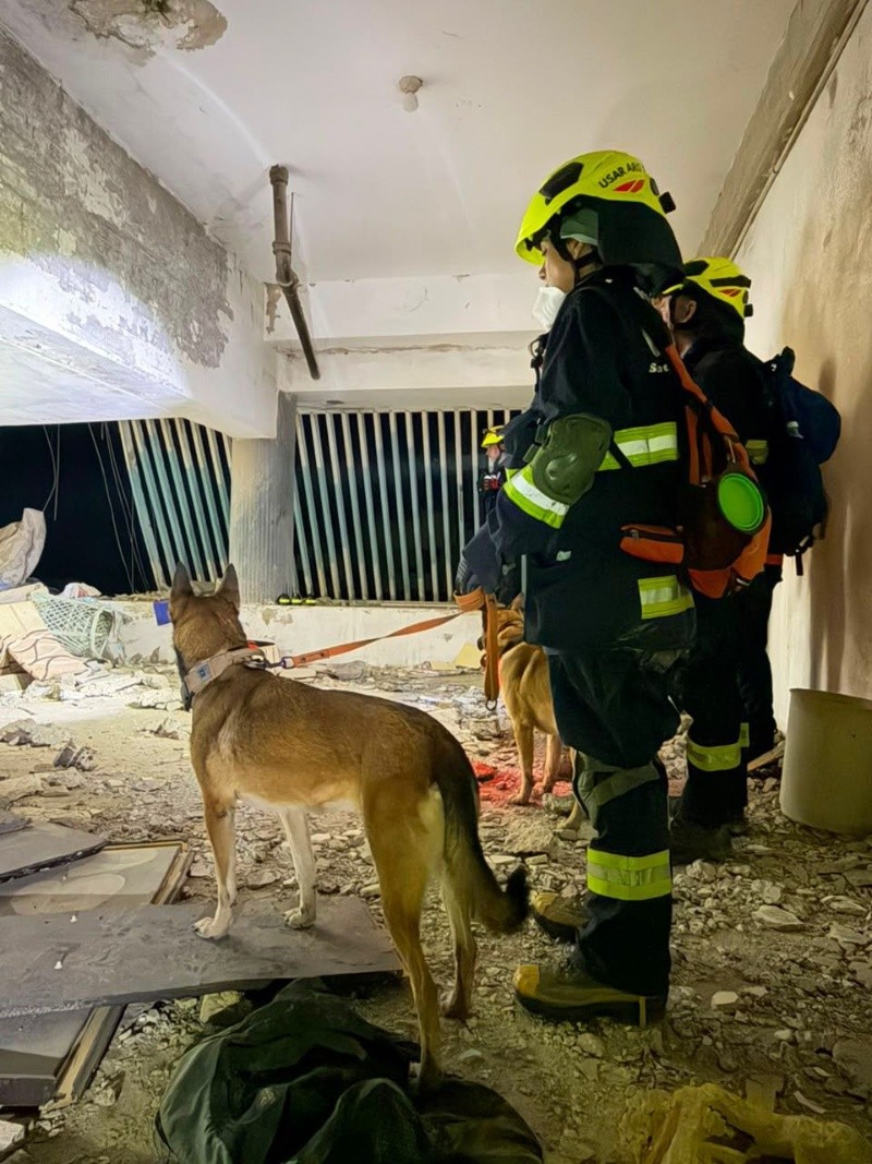&nbsp;Imagen de uno de los perros rescatistas (Gobierno de Santa Fe).