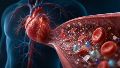 Los especialistas aclaran que los hallazgos no demuestran una relación causal, pero refuerzan la preocupación por el impacto de la contaminación ambiental en la salud cardiovascular.