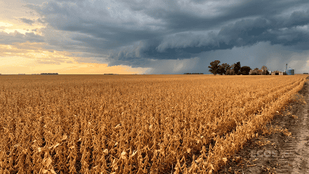 Soja con una posible tormenta de granizo acercándose