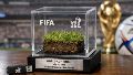 Cada fragmento del césped del Mundial 2026 se ofrecerá como artículo oficial de colección a través del sitio web de la FIFA (Imagen ilustrativa).