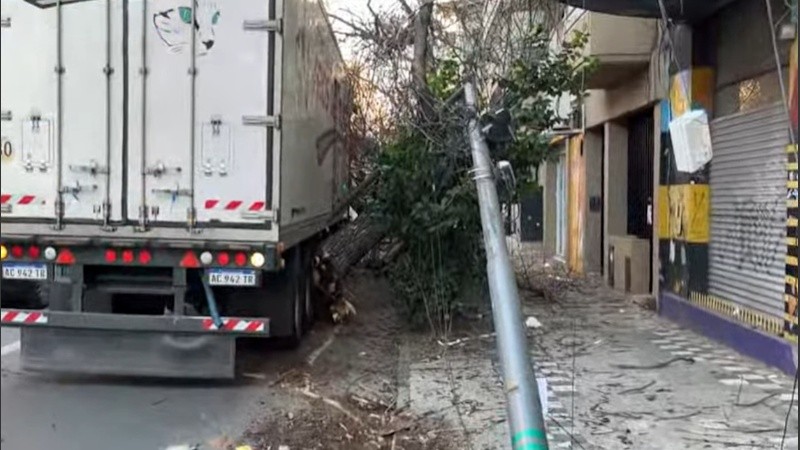 El camión derribó a su paso árboles y un poste.