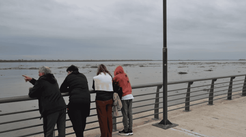 El río Paraná amaneció con gran presencia de camalotes y advierten sobre riesgos para la navegación. (Foto: Alan Monzón/Rosario3)&nbsp;