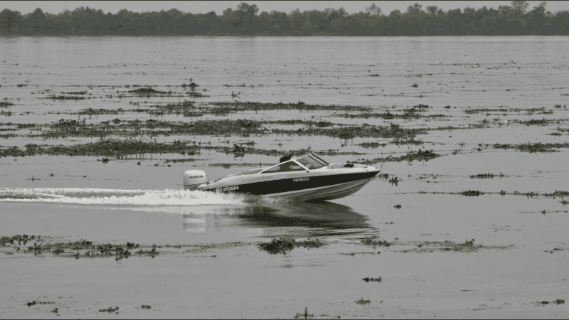 El río Paraná amaneció con gran presencia de camalotes y advierten sobre riesgos para la navegación.