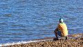 La pesca deportiva y recreativa es uno de los atractivos de la nueva Federación, Entre Ríos.