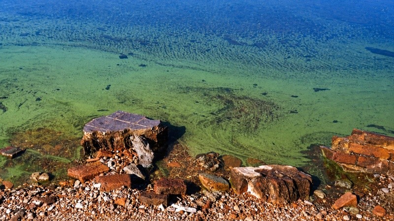 Las aguas continúan la retirada a causa de la sequía río arriba. Sobre la costa, entre escombros y algas, se ve un bloque de azulejos aún pegados a un trozo de pared (Rosario3).
