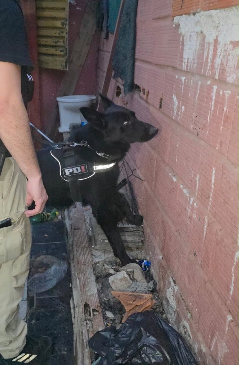 &nbsp;La PDI encabezó el operativo.