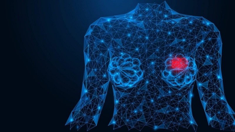 El sistema funciona como una especie de 