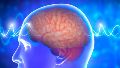 Mantener el contacto social, hacer actividad física y estimular la mente son algunas de las estrategias que ayudan a proteger la salud cerebral.