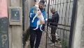 Rescataron a una perrita que vivía atada