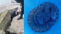 El operativo logró sacar la serpiente del parque (URII).