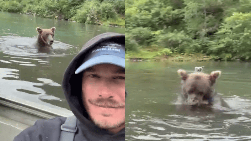 Buscaba salmones y logró el video más extrema de su vida.