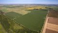 El Gobierno presentó un nuevo dictamen sobre la ley de tierras para evitar una derrota en el Senado.