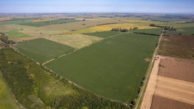 El Gobierno presentó un nuevo dictamen sobre la ley de tierras para evitar una derrota en el Senado.